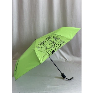 Зонт зеленый Amico 2134