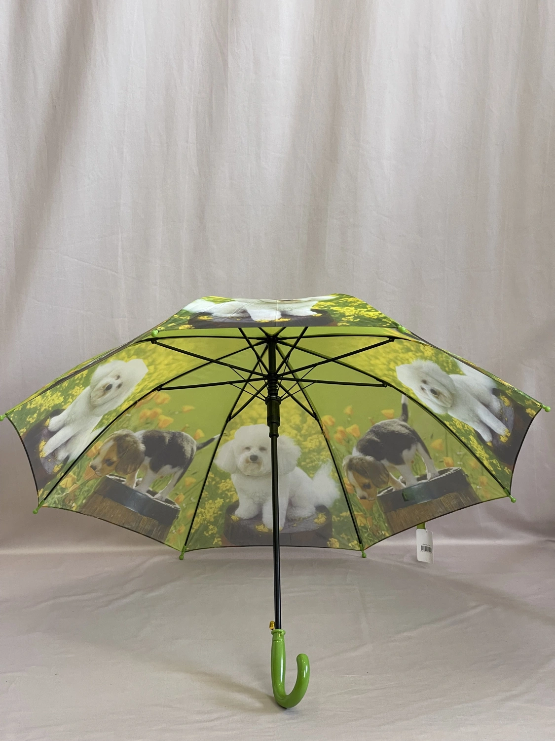 Зонт зеленый  1545 фото 2