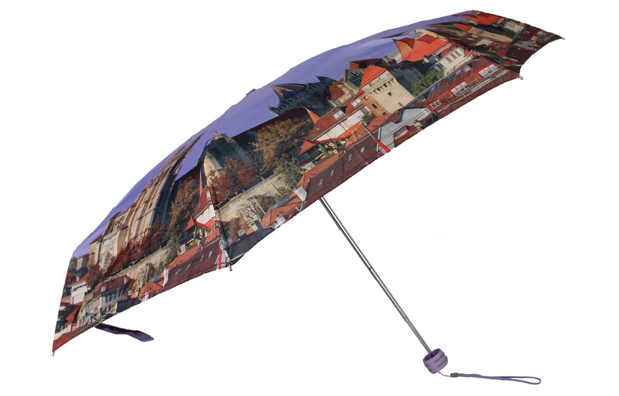 Зонт жен Amico 4009 фиолет 2651-32