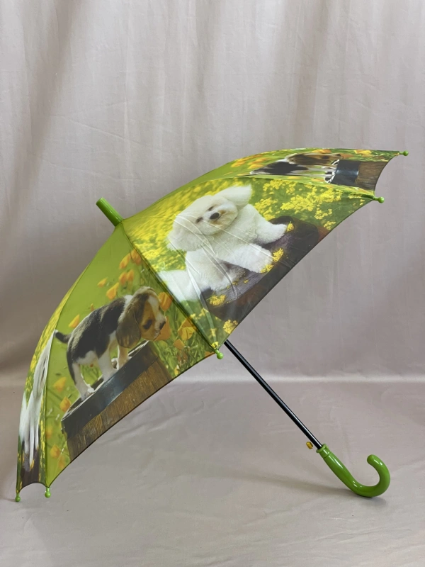 Зонт зеленый  1545 фото 1