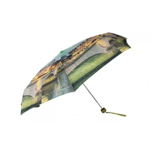Зонт жен Amico 4009 зелен 2651-31