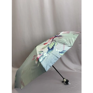 Зонт зеленый Amico 1195