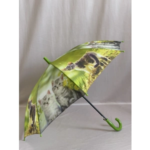 Зонт зеленый  1545