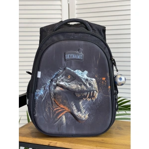 Рюкзак черный SkyName R1-046